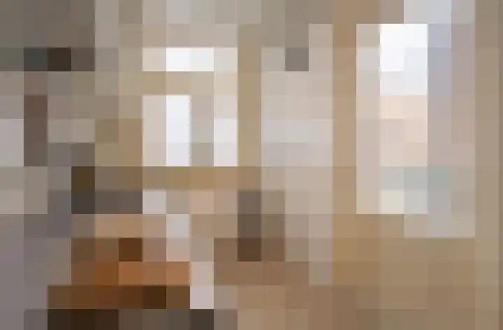 Derde Schinkelstraat 20 1L Amsterdam thumbnail 19
