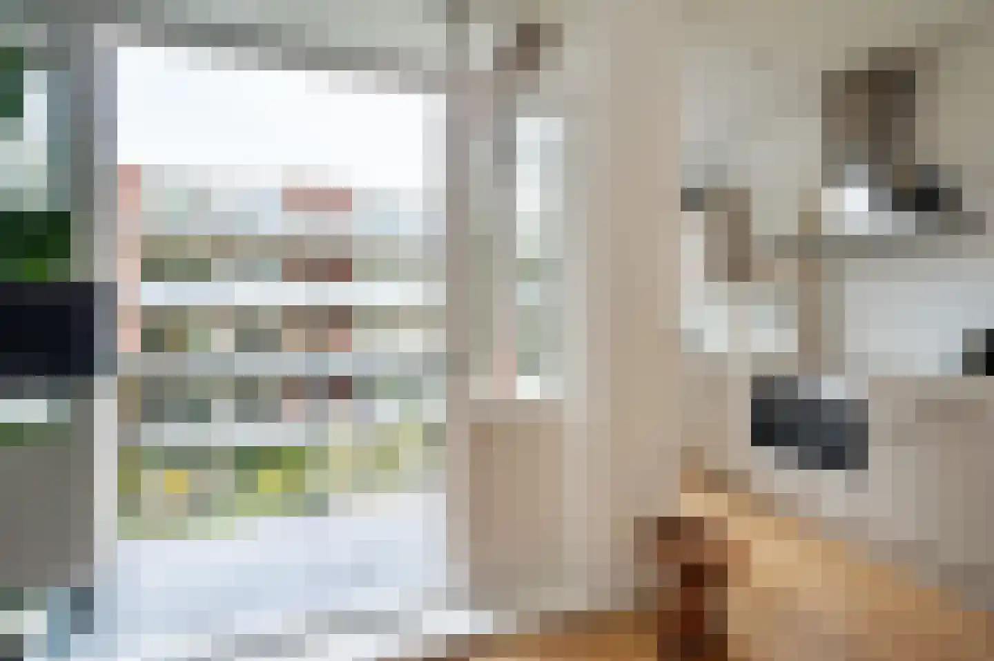 Derde Schinkelstraat 20 HL Amsterdam thumbnail 11
