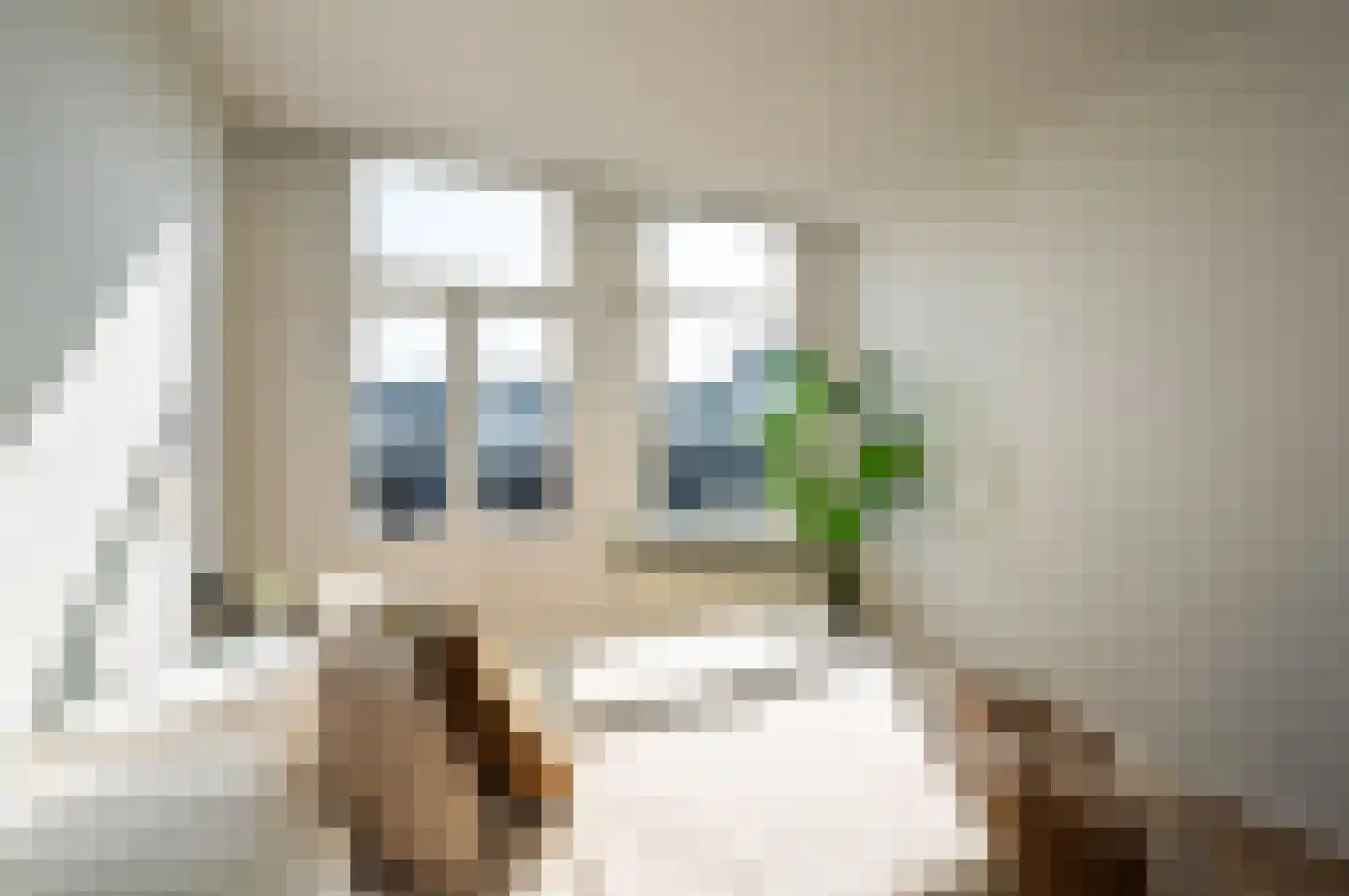 Derde Schinkelstraat 20 HL Amsterdam thumbnail 17