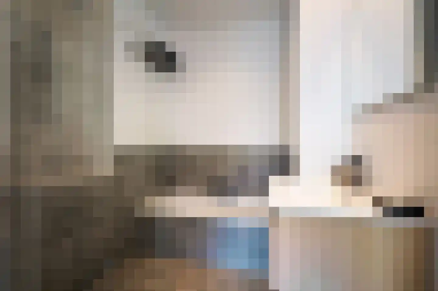 Derde Schinkelstraat 20 HL Amsterdam thumbnail 21