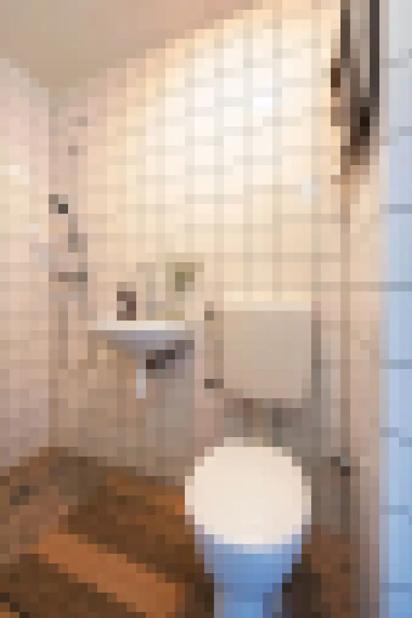 Derde Schinkelstraat 20 HL Amsterdam thumbnail 22
