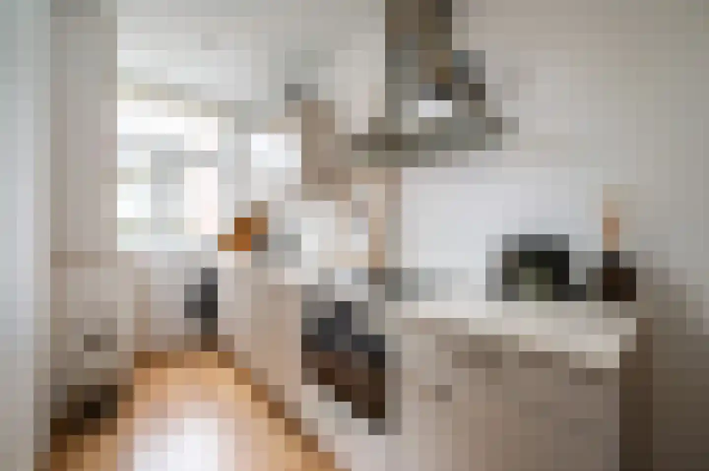 Derde Schinkelstraat 20 HL Amsterdam thumbnail 6