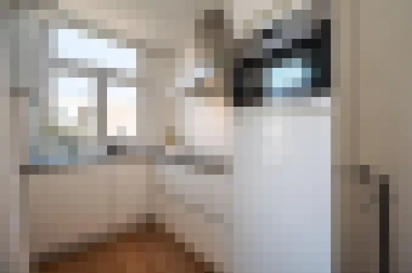 Derde Schinkelstraat 20 HL Amsterdam thumbnail 7