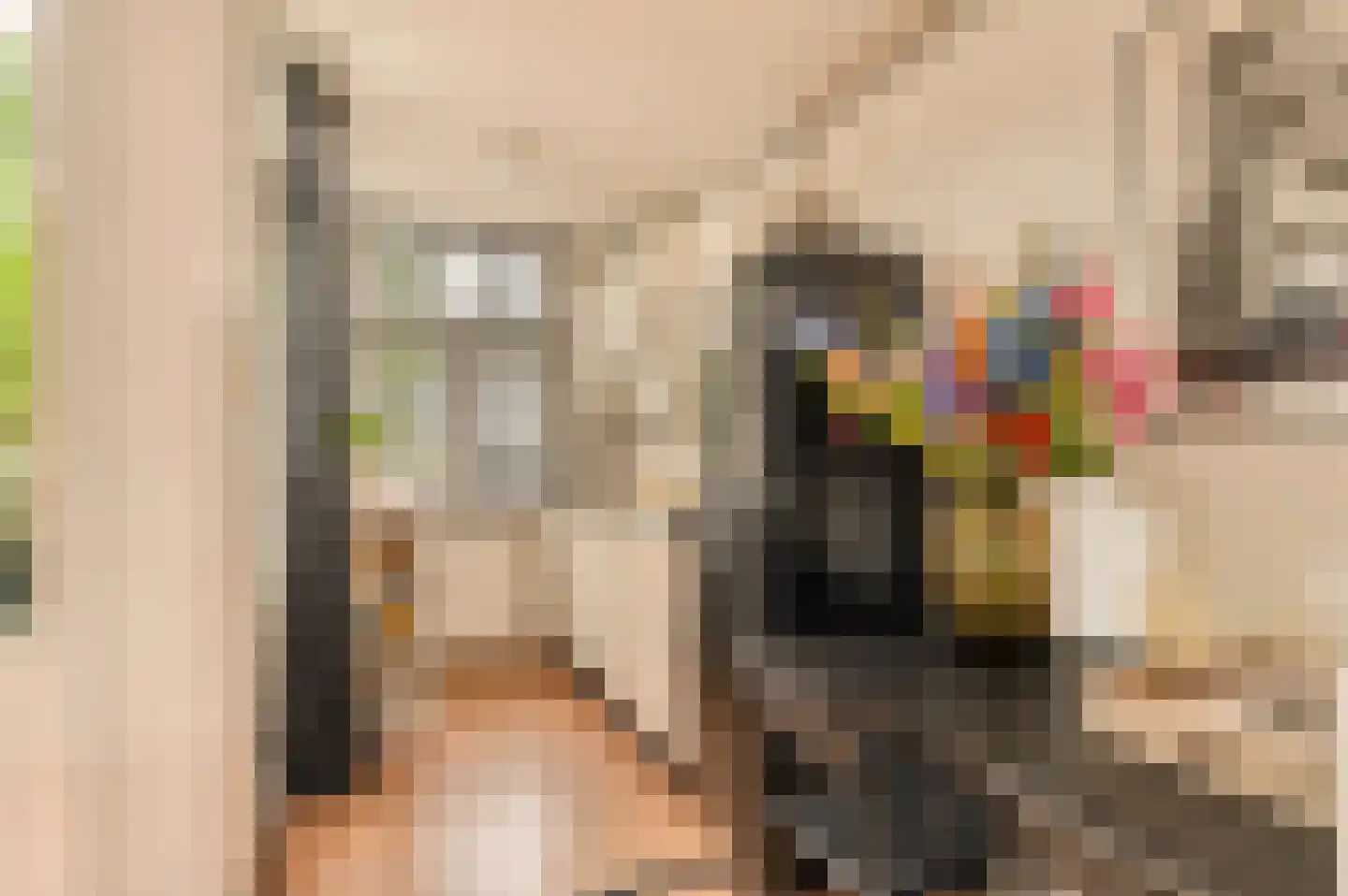 Derde Schinkelstraat 22 2L Amsterdam thumbnail 15