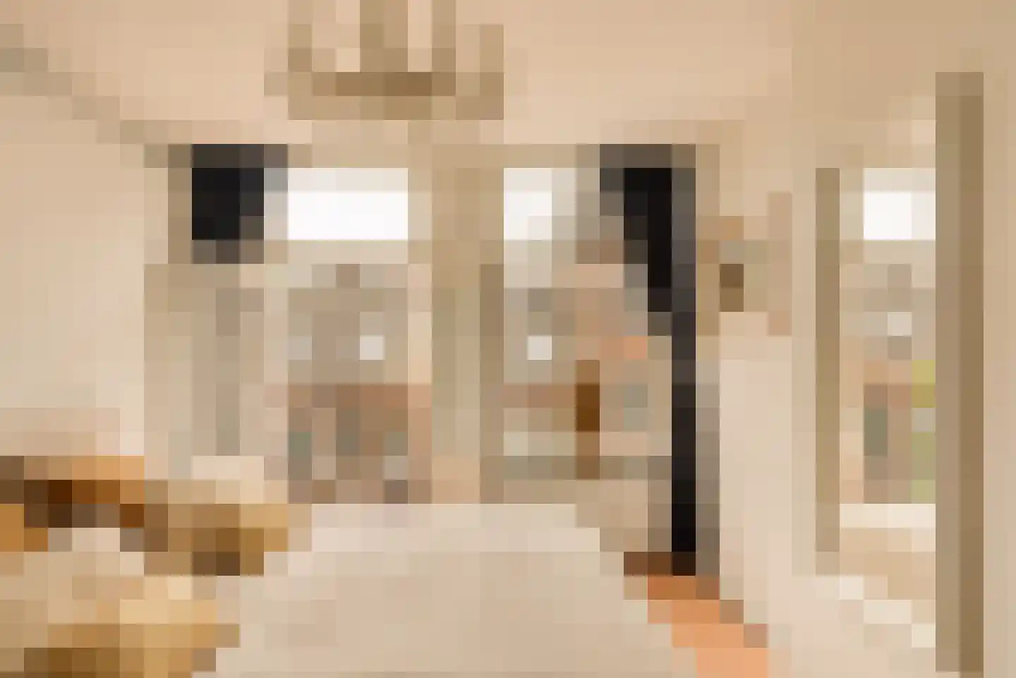 Derde Schinkelstraat 22 2L Amsterdam thumbnail 8