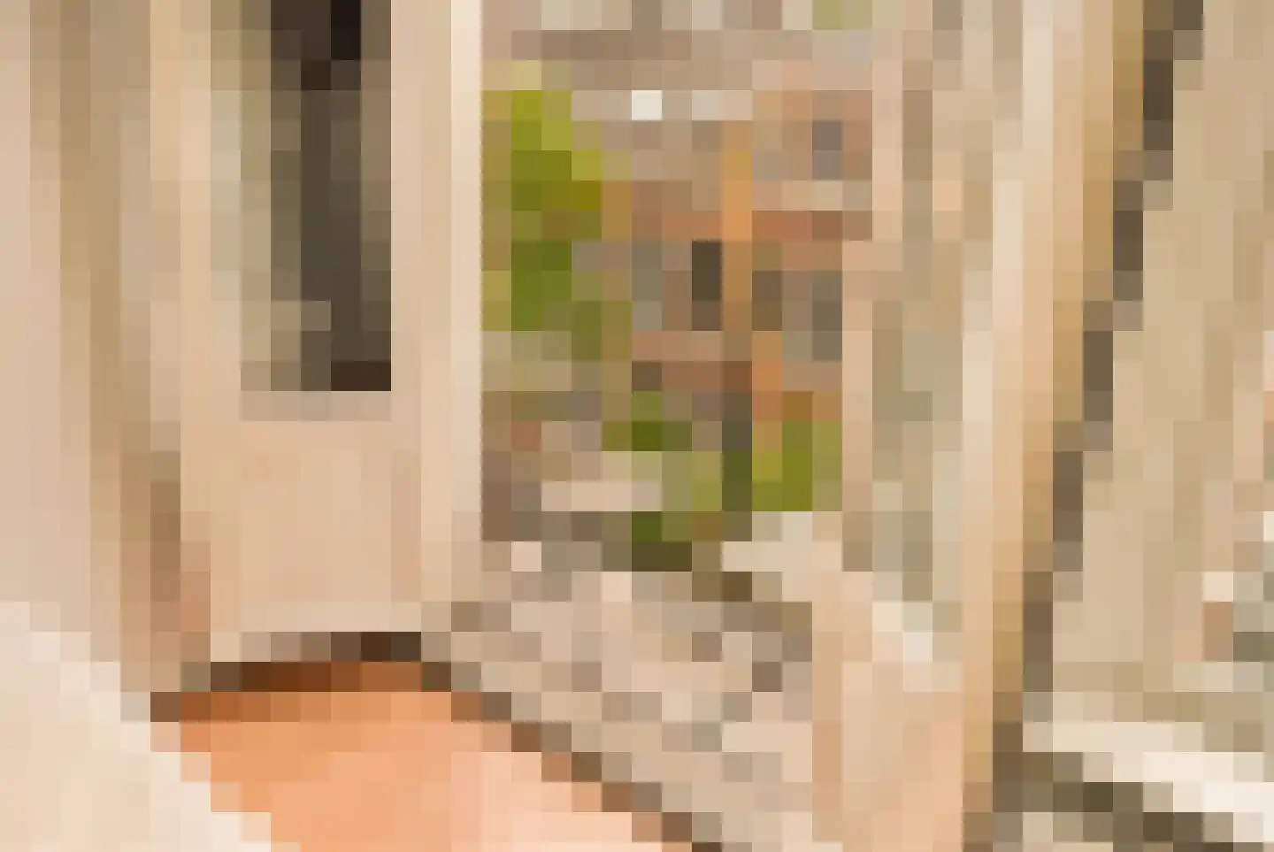 Derde Schinkelstraat 22 2L Amsterdam thumbnail 9