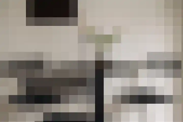 Derde Schinkelstraat 22 HL Amsterdam thumbnail 10