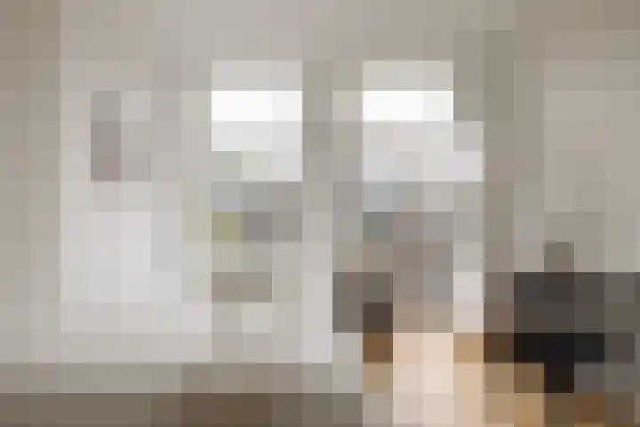 Derde Schinkelstraat 22 HL Amsterdam thumbnail 15