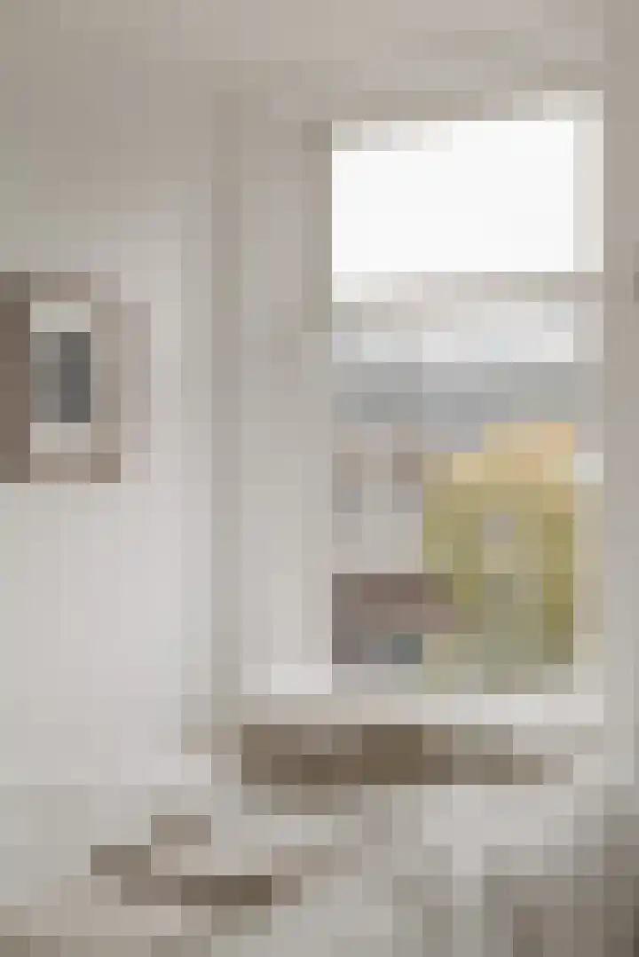 Derde Schinkelstraat 22 HL Amsterdam thumbnail 16