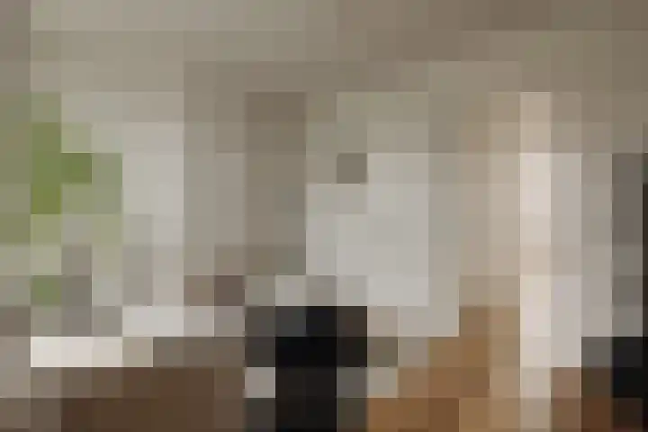 Derde Schinkelstraat 22 HL Amsterdam thumbnail 7