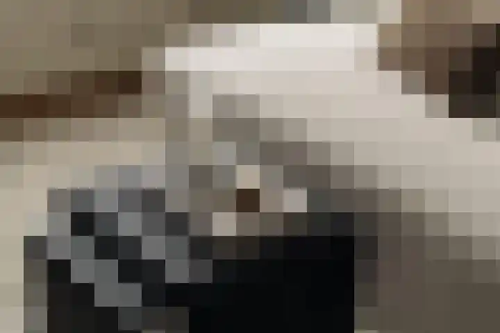 Derde Schinkelstraat 22 HL Amsterdam thumbnail 8