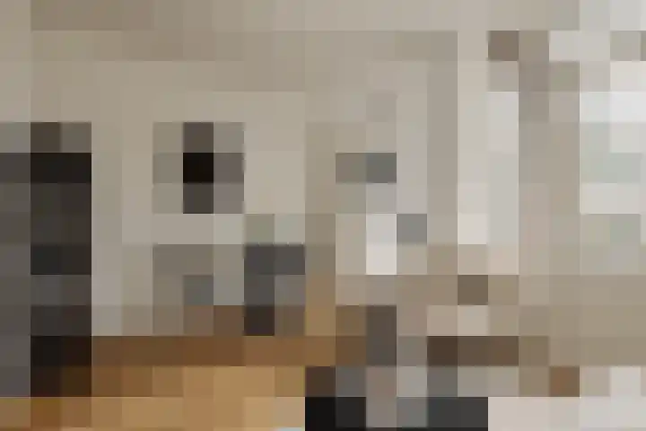 Derde Schinkelstraat 22 HL Amsterdam thumbnail 9