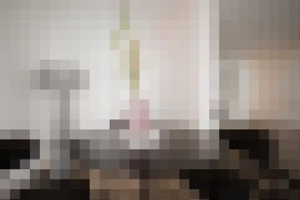 Derde Schinkelstraat 27 Amsterdam thumbnail 6