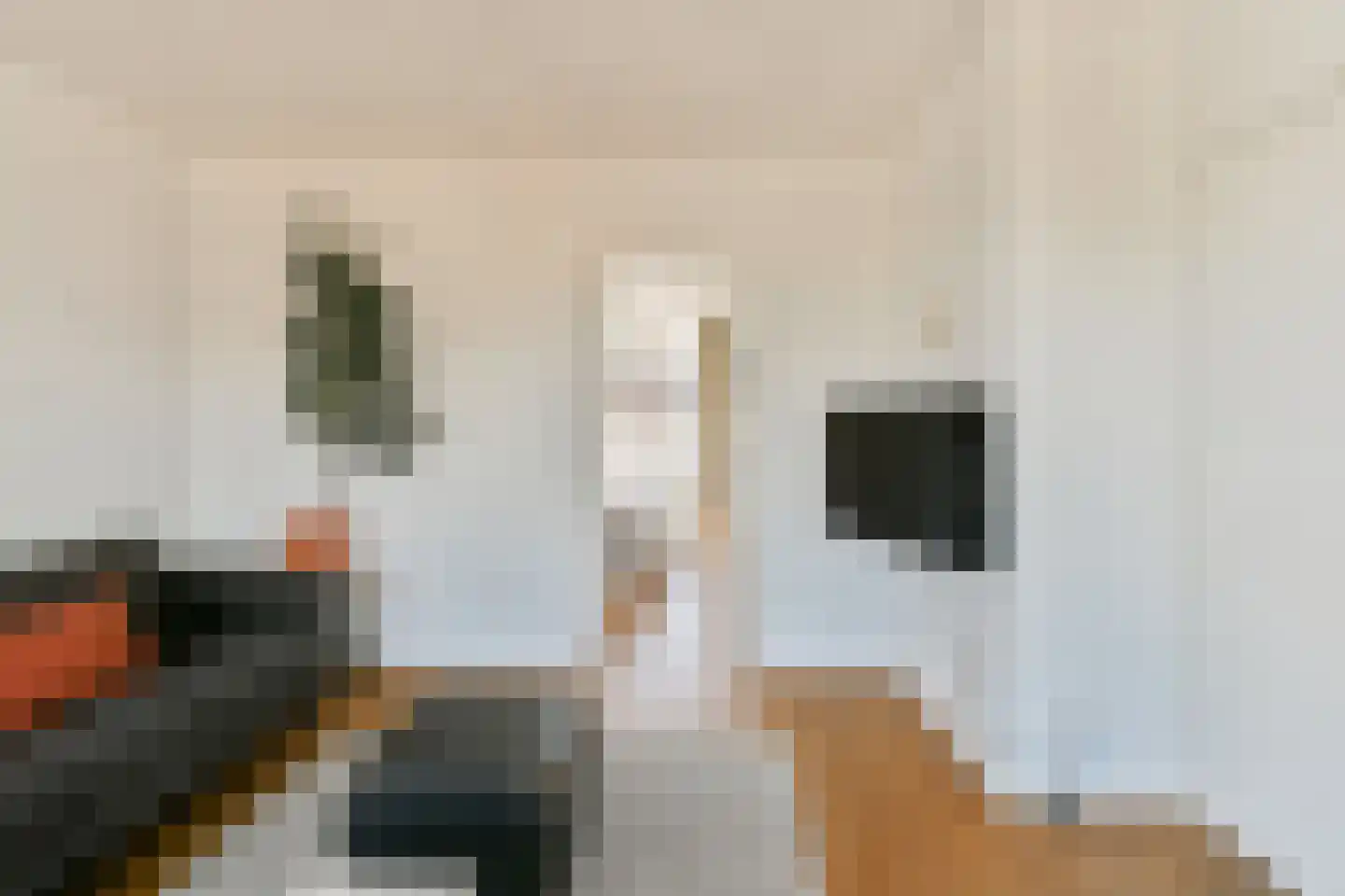 Derde Schinkelstraat 3 1 Amsterdam thumbnail 12