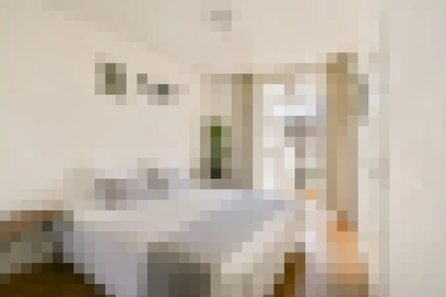 Derde Schinkelstraat 3 1 Amsterdam thumbnail 13