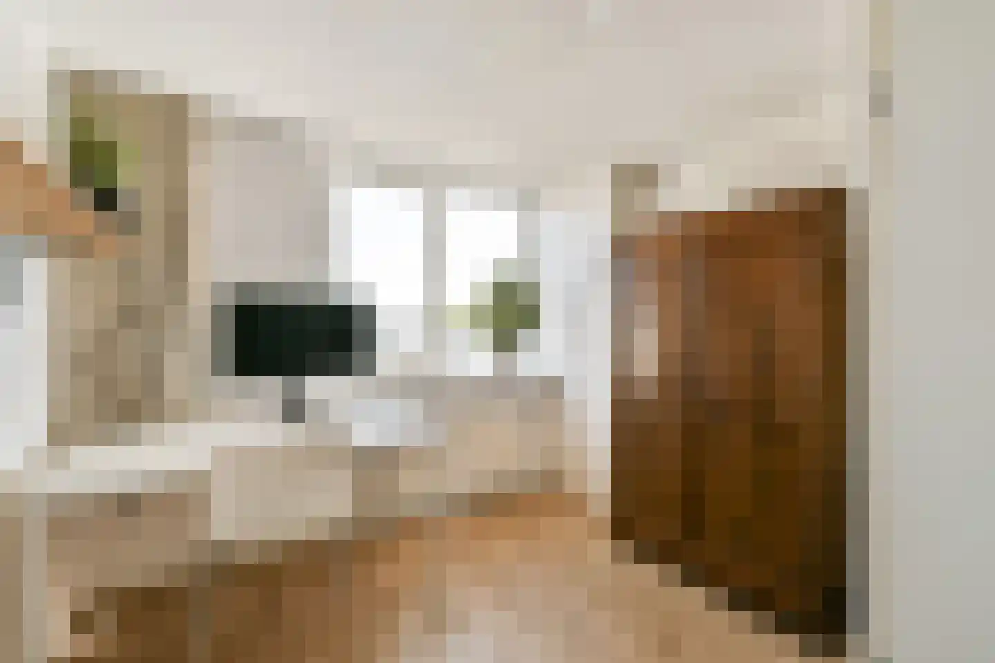 Derde Schinkelstraat 3 1 Amsterdam thumbnail 24