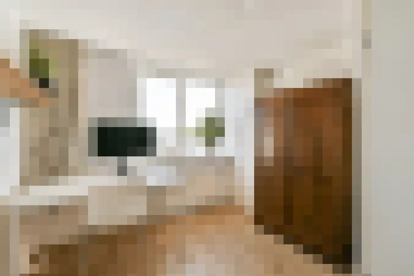 Derde Schinkelstraat 3 2 Amsterdam thumbnail 25
