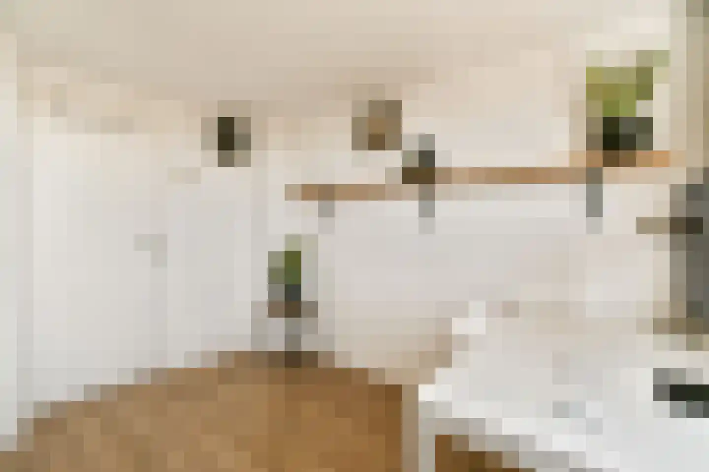 Derde Schinkelstraat 3 4 Amsterdam thumbnail 27