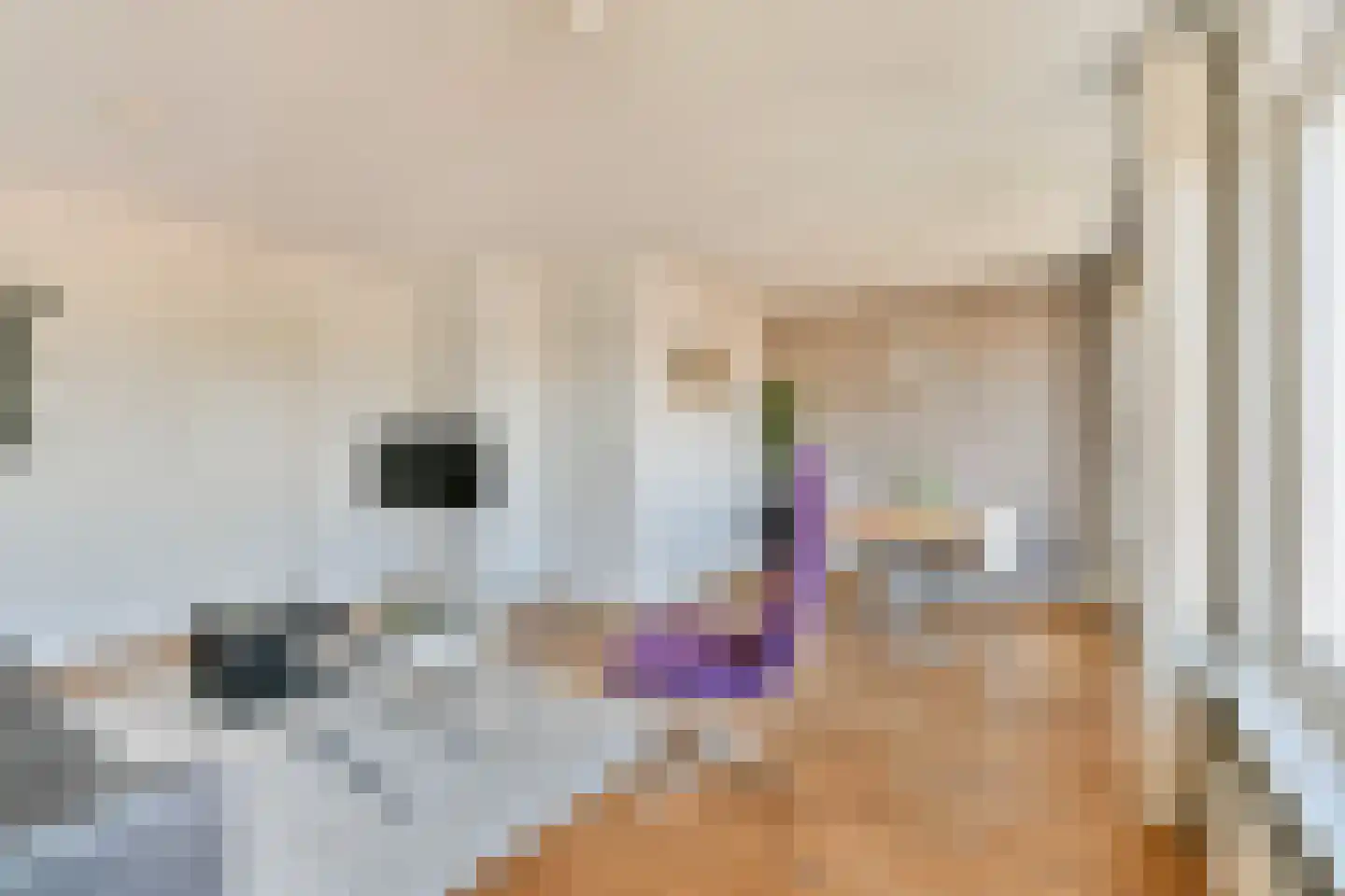 Derde Schinkelstraat 3 4 Amsterdam thumbnail 6
