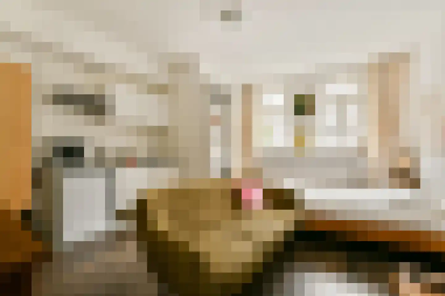 Derde Schinkelstraat 33 A Amsterdam thumbnail 20