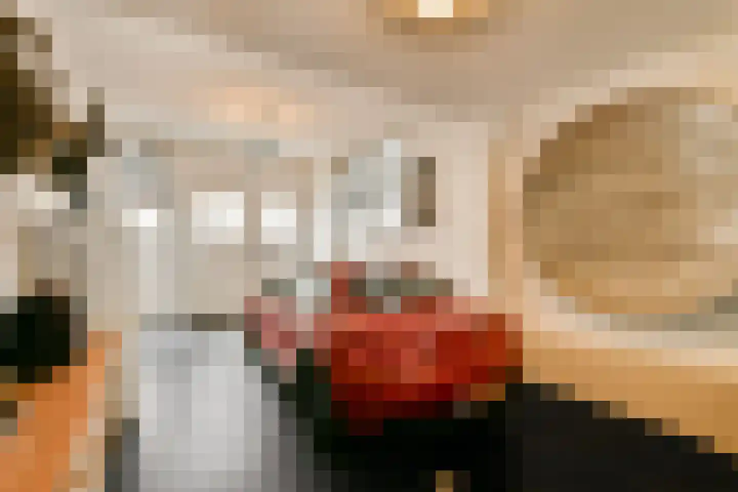 Derde Schinkelstraat 33 A Amsterdam thumbnail 5
