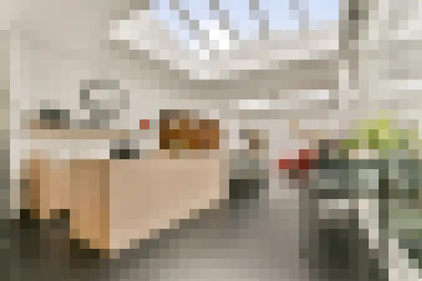 Derde Schinkelstraat 33 A Amsterdam thumbnail 9