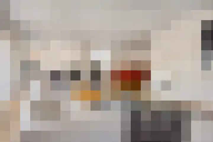 Derde Stationsstraat 302 Zoetermeer thumbnail 8