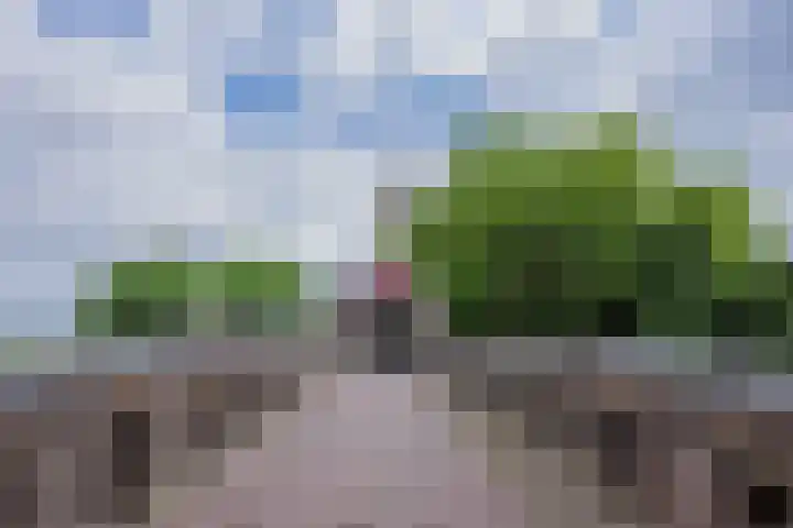 Derde Walstraat 1 D Nijmegen thumbnail 30