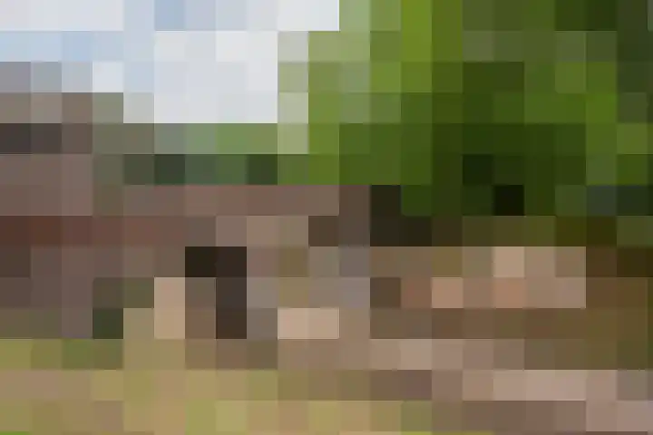 Derde Walstraat 1 D Nijmegen thumbnail 33