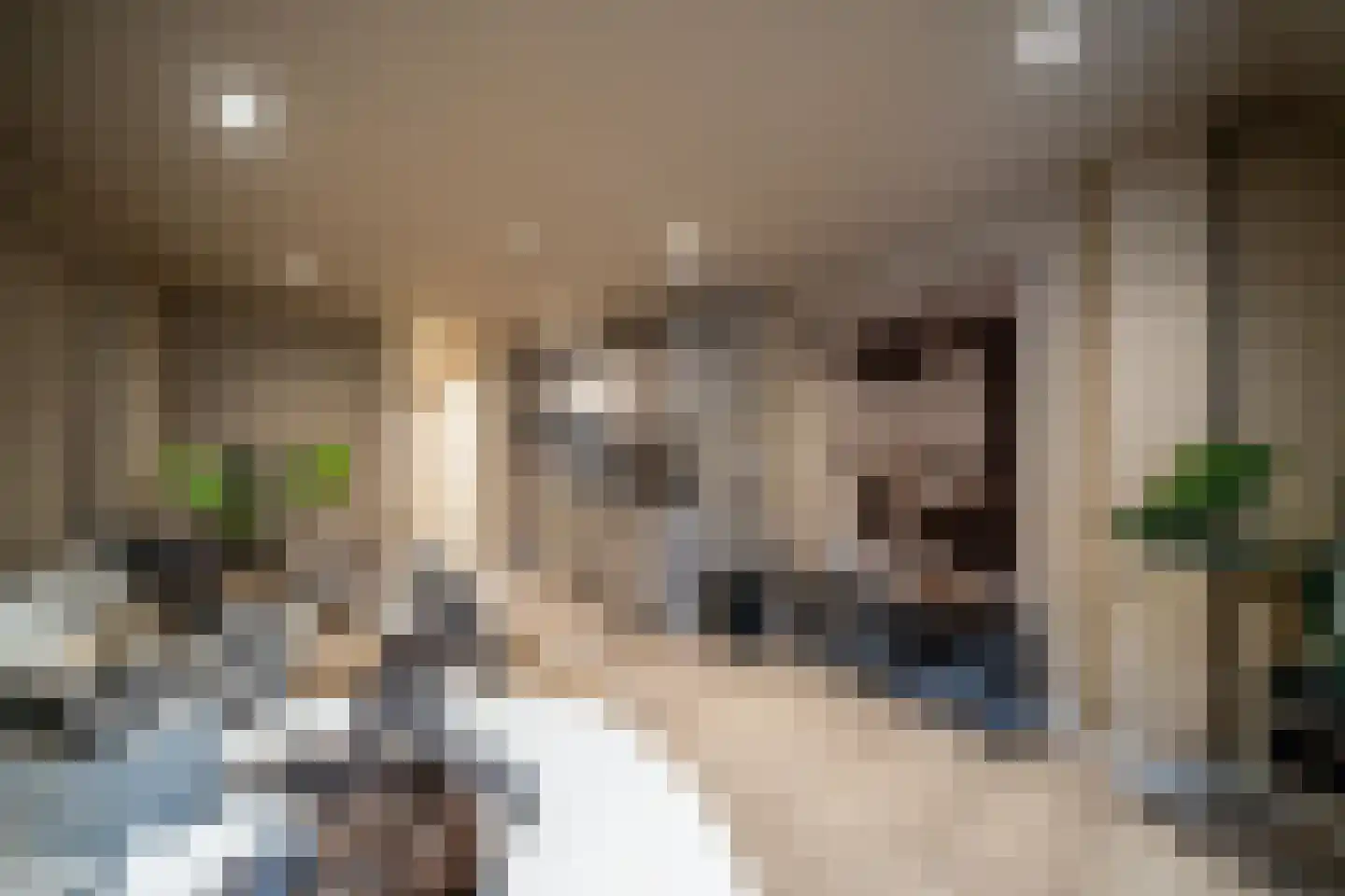 Derde Walstraat 110 Nijmegen thumbnail 4
