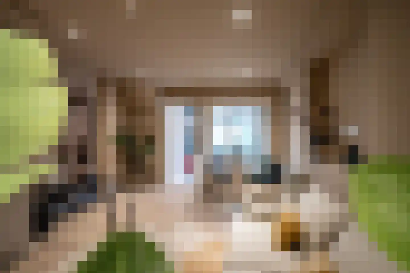 Derde Walstraat 110 Nijmegen thumbnail 6