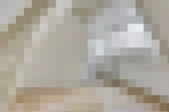 Derde Walstraat 116 Nijmegen thumbnail 20
