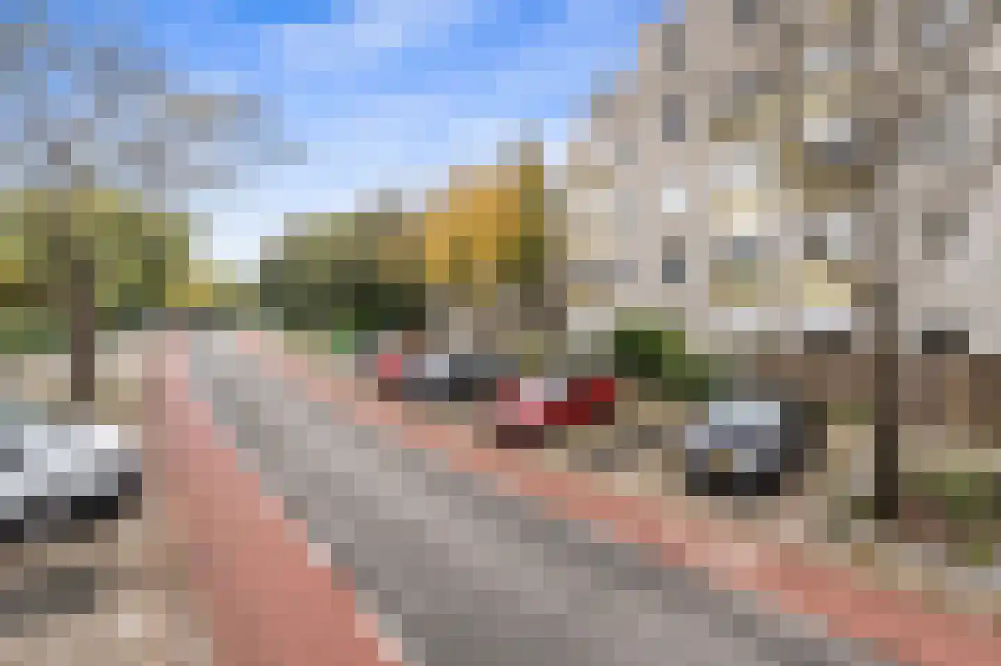 Derde Werelddreef 117 Delft thumbnail 28