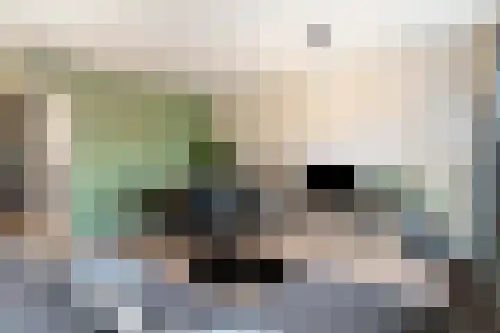 Derde Werelddreef 118 Delft thumbnail 11