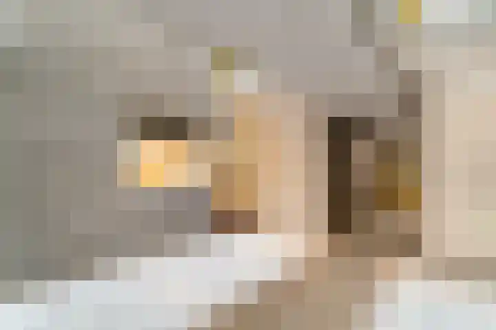 Derde Werelddreef 118 Delft thumbnail 7