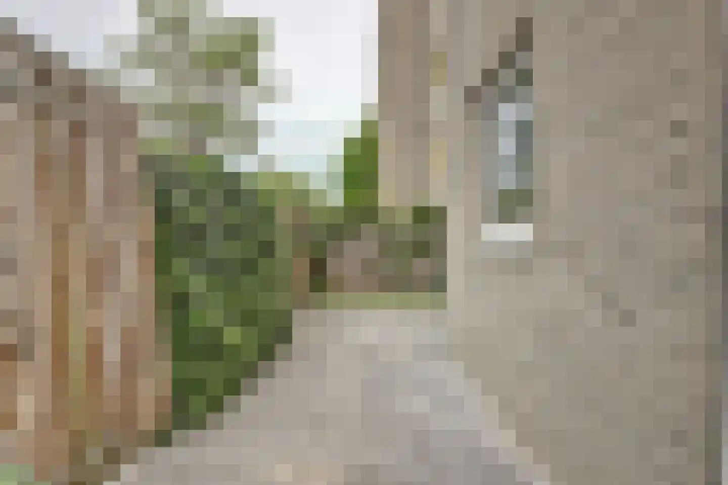 Derde Werelddreef 131 Delft thumbnail 15