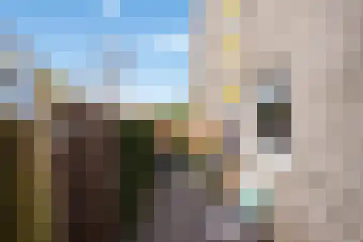 Derde Werelddreef 131 Delft thumbnail 19