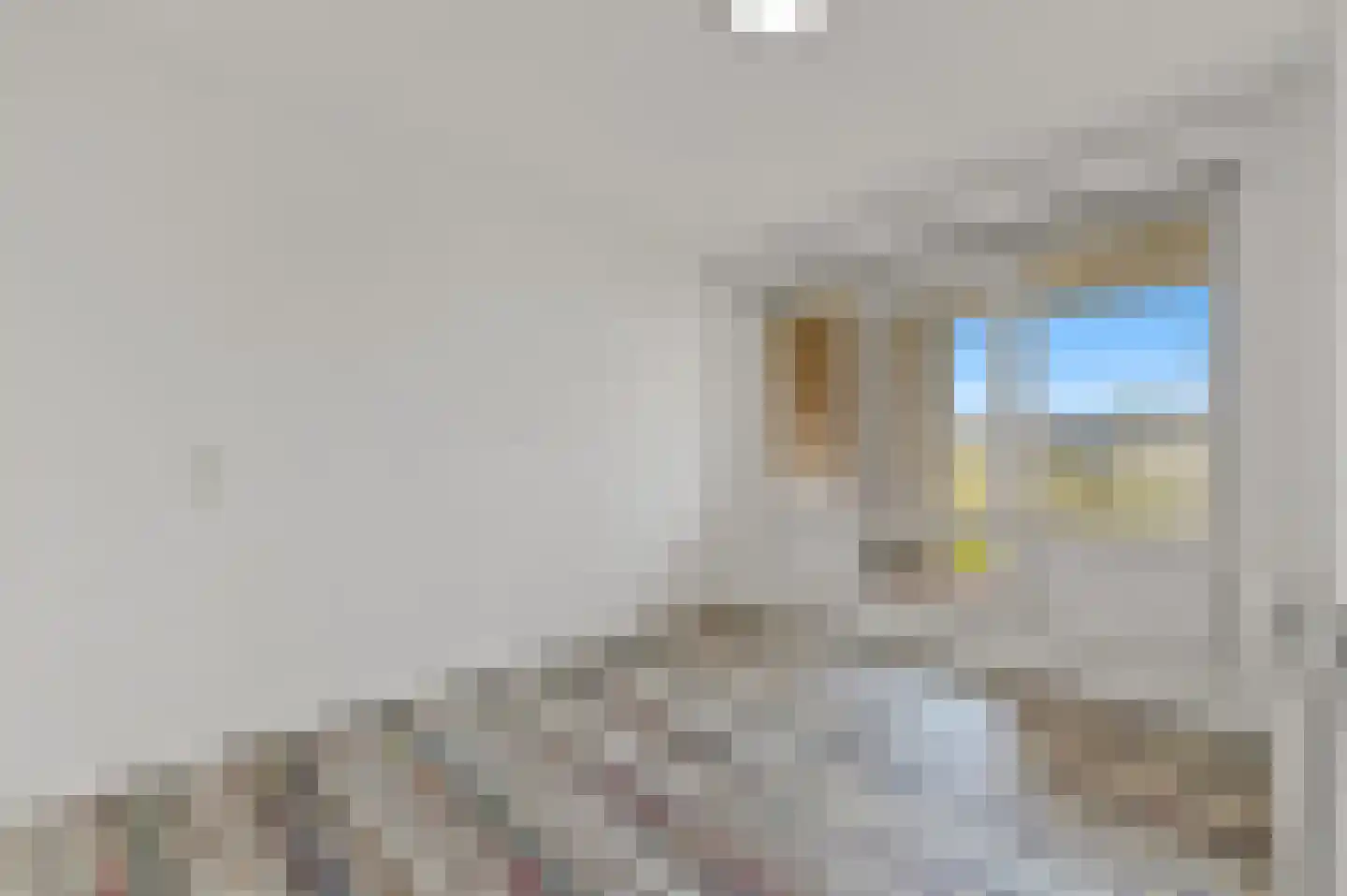 Derde Werelddreef 207 Delft thumbnail 21