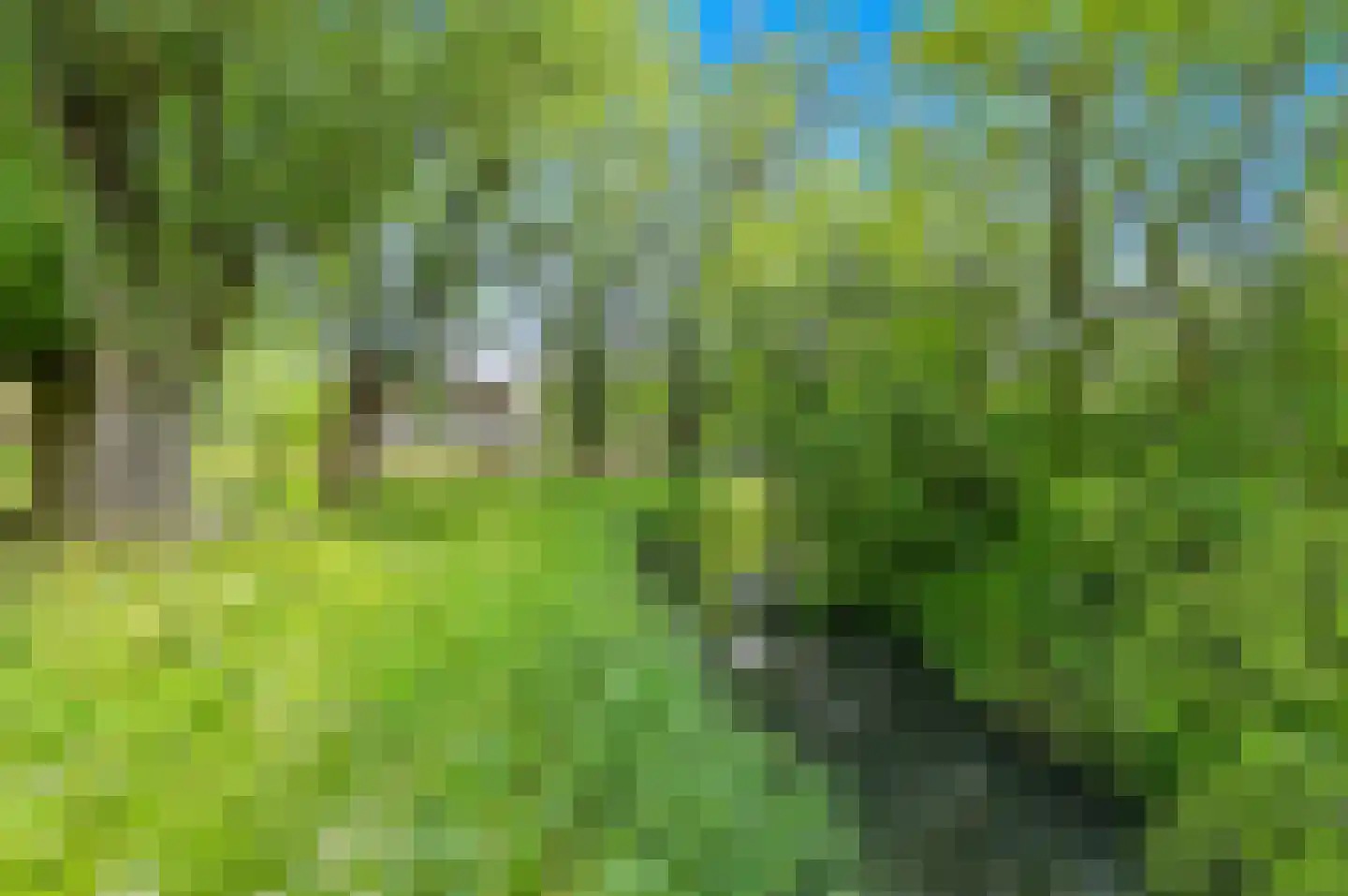 Derde Werelddreef 207 Delft thumbnail 23