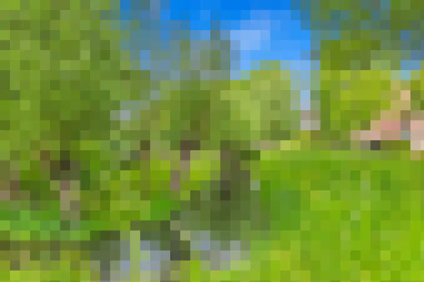 Derde Werelddreef 207 Delft thumbnail 27