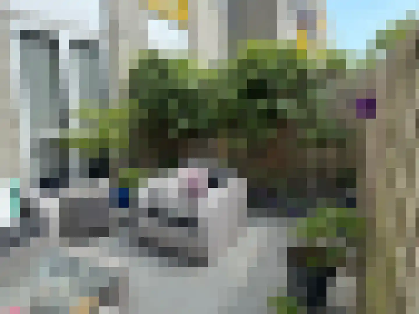 Derde Werelddreef 41 Delft thumbnail 21