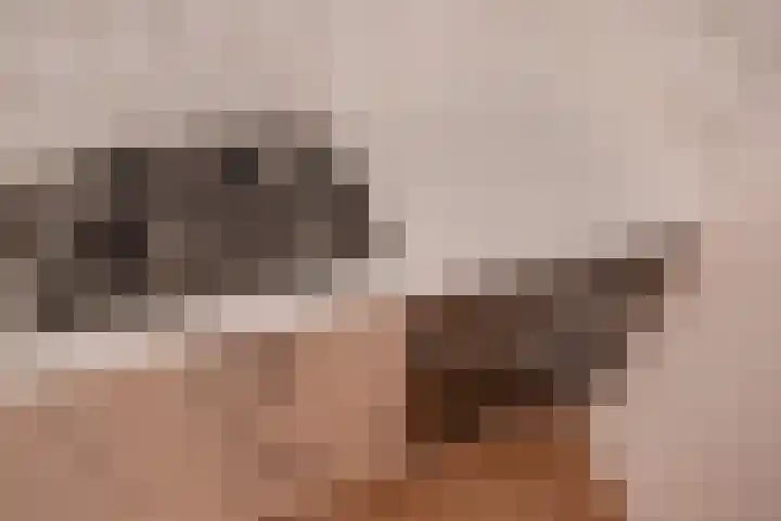 Derde Werelddreef 83 Delft thumbnail 11