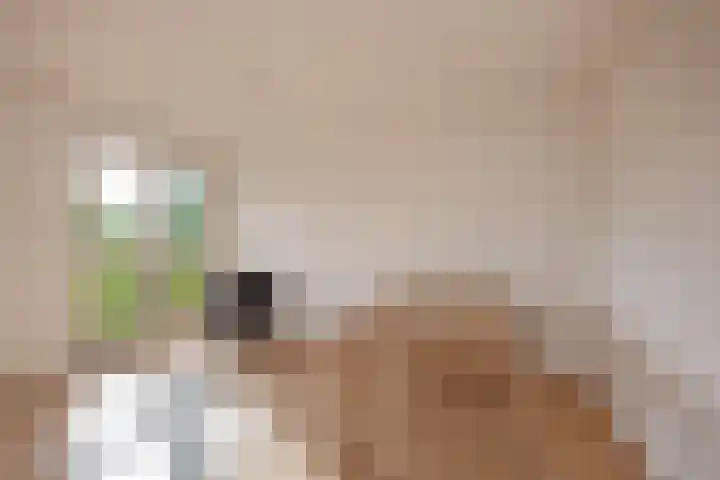 Derde Werelddreef 83 Delft thumbnail 13