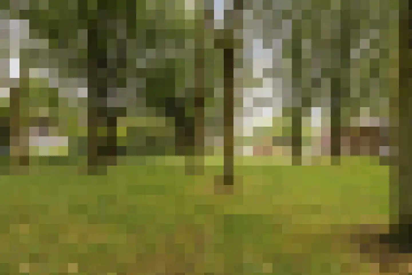 Derde Werelddreef 95 Delft thumbnail 27