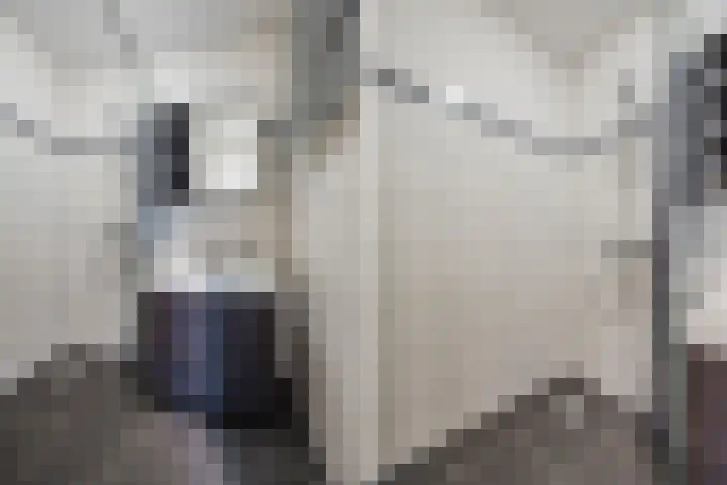 Derde Werelddreef 95 Delft thumbnail 6