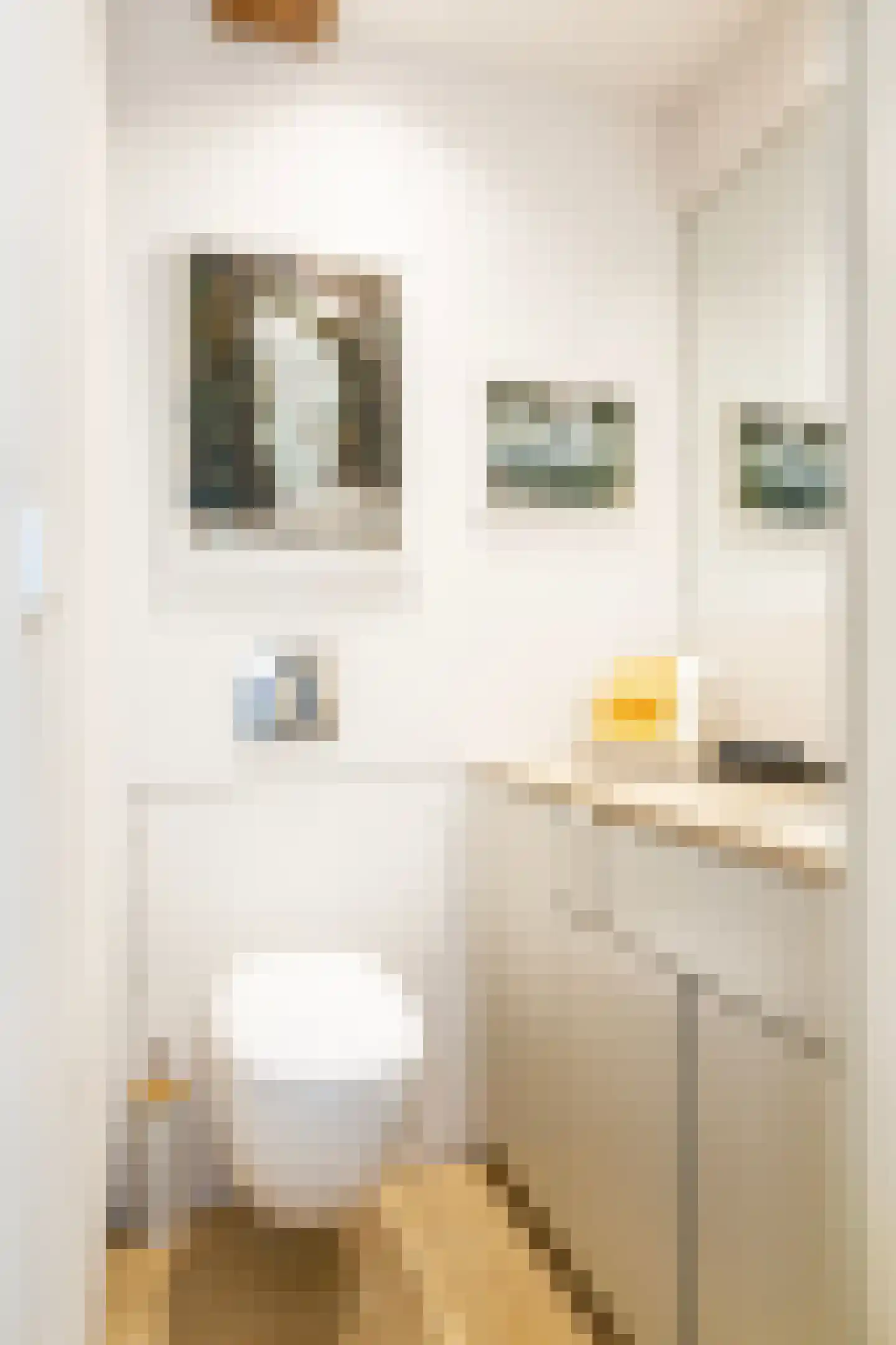Derde Weteringdwarsstraat 29 Amsterdam thumbnail 21