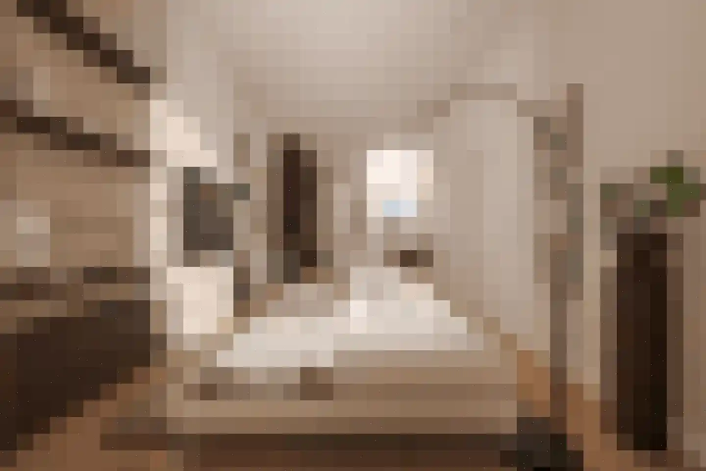 Derde Weteringdwarsstraat 42 Amsterdam thumbnail 5