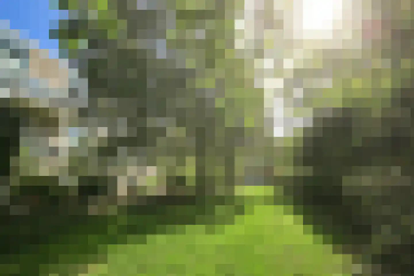 Derde Wittenburgerdwarsstraat 60 Amsterdam thumbnail 36