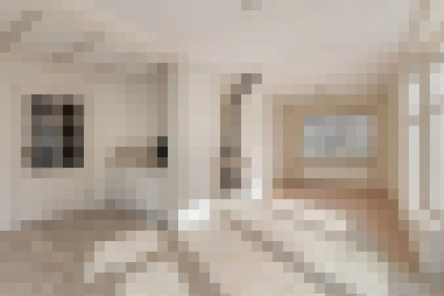 Derde Zeine 1 Waalwijk thumbnail 12