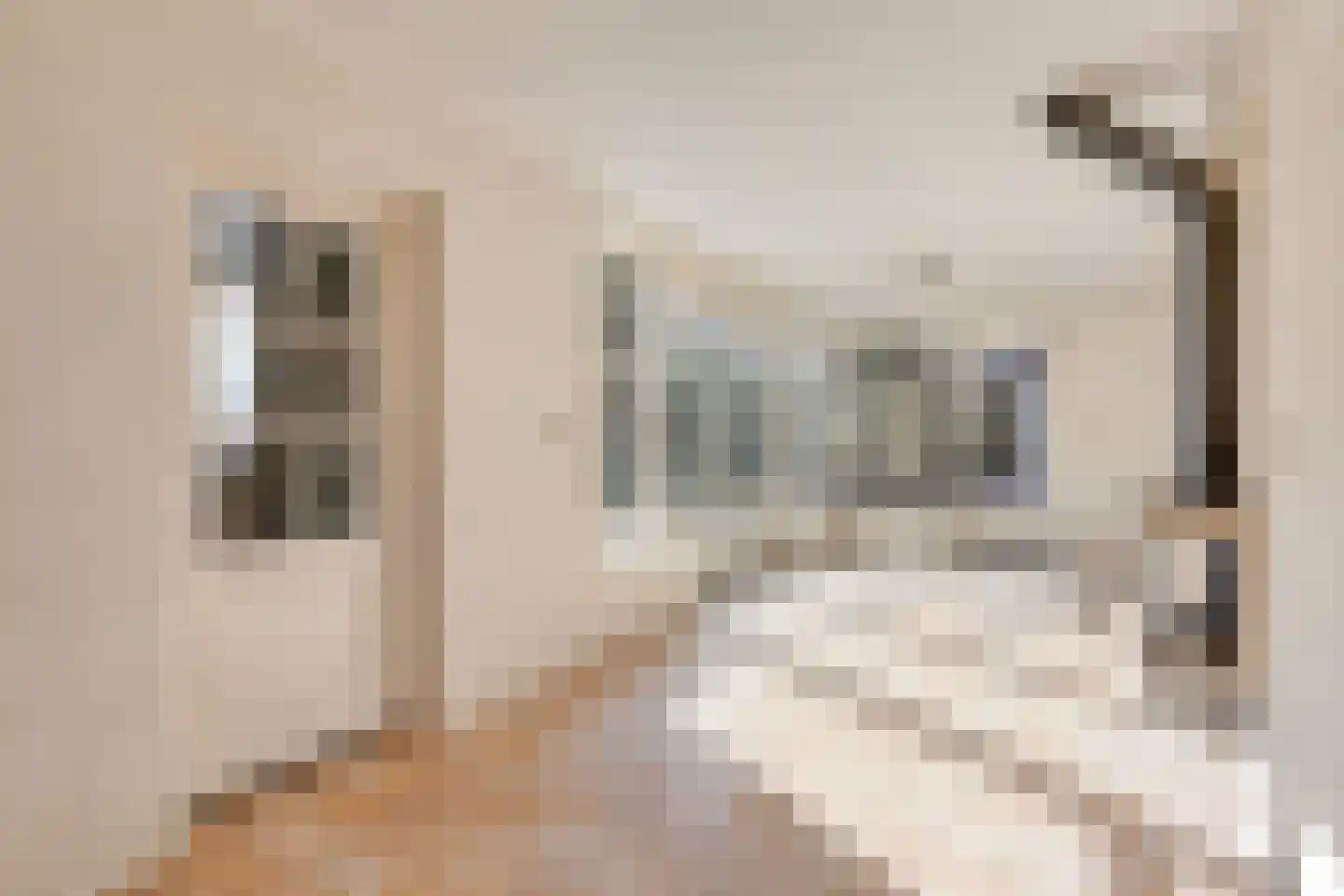 Derde Zeine 1 Waalwijk thumbnail 13